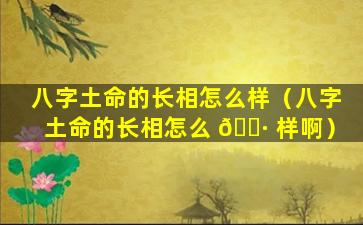 八字土命的长相怎么样（八字土命的长相怎么 🕷 样啊）